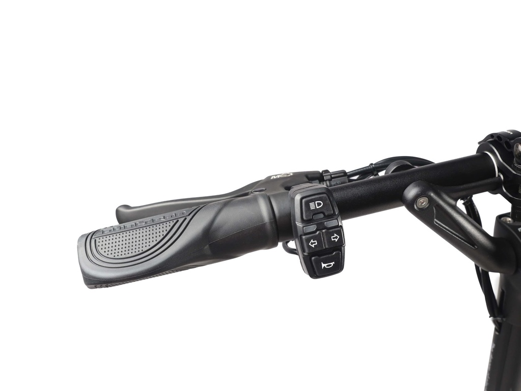 DT Aminia Special (Single) & Long Body (Dual)