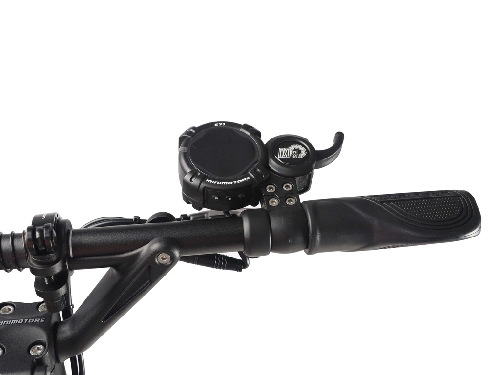 DT Aminia Special (Single) & Long Body (Dual)