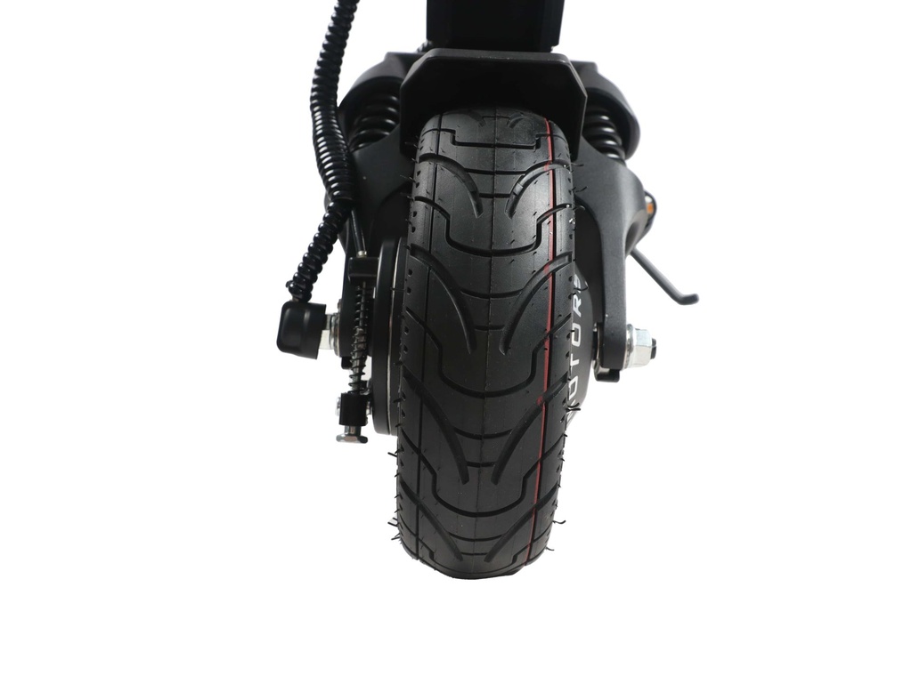 DT Aminia Special (Single) & Long Body (Dual)