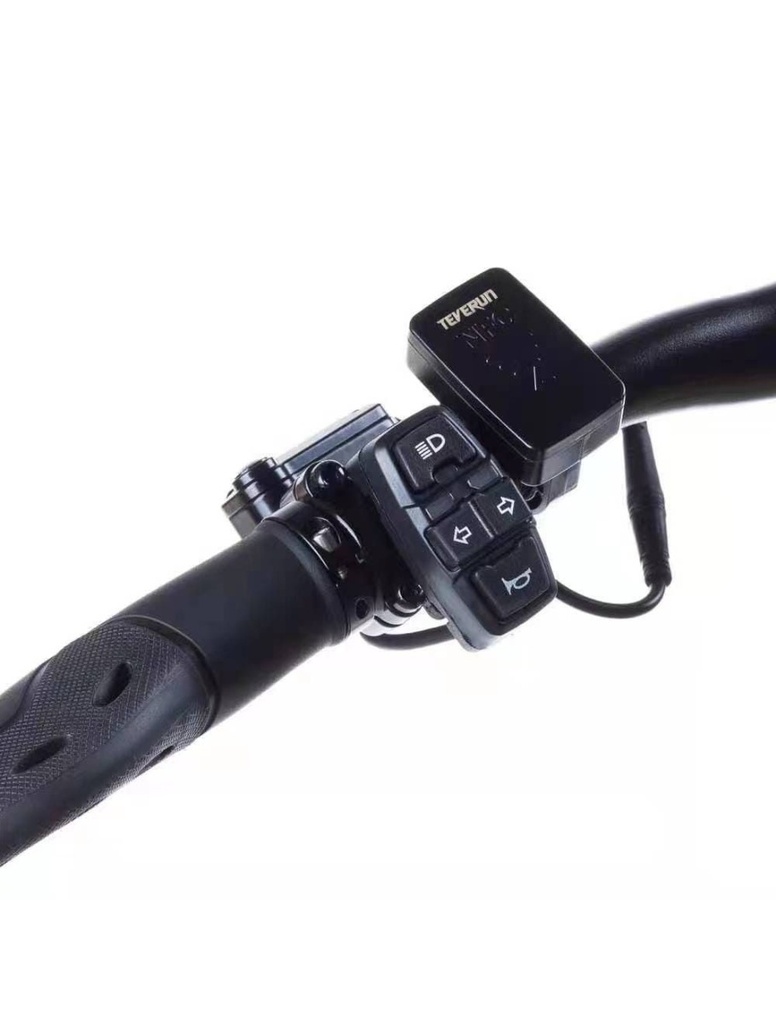 Teverun Fighter Mini Pro 60V 25 LG