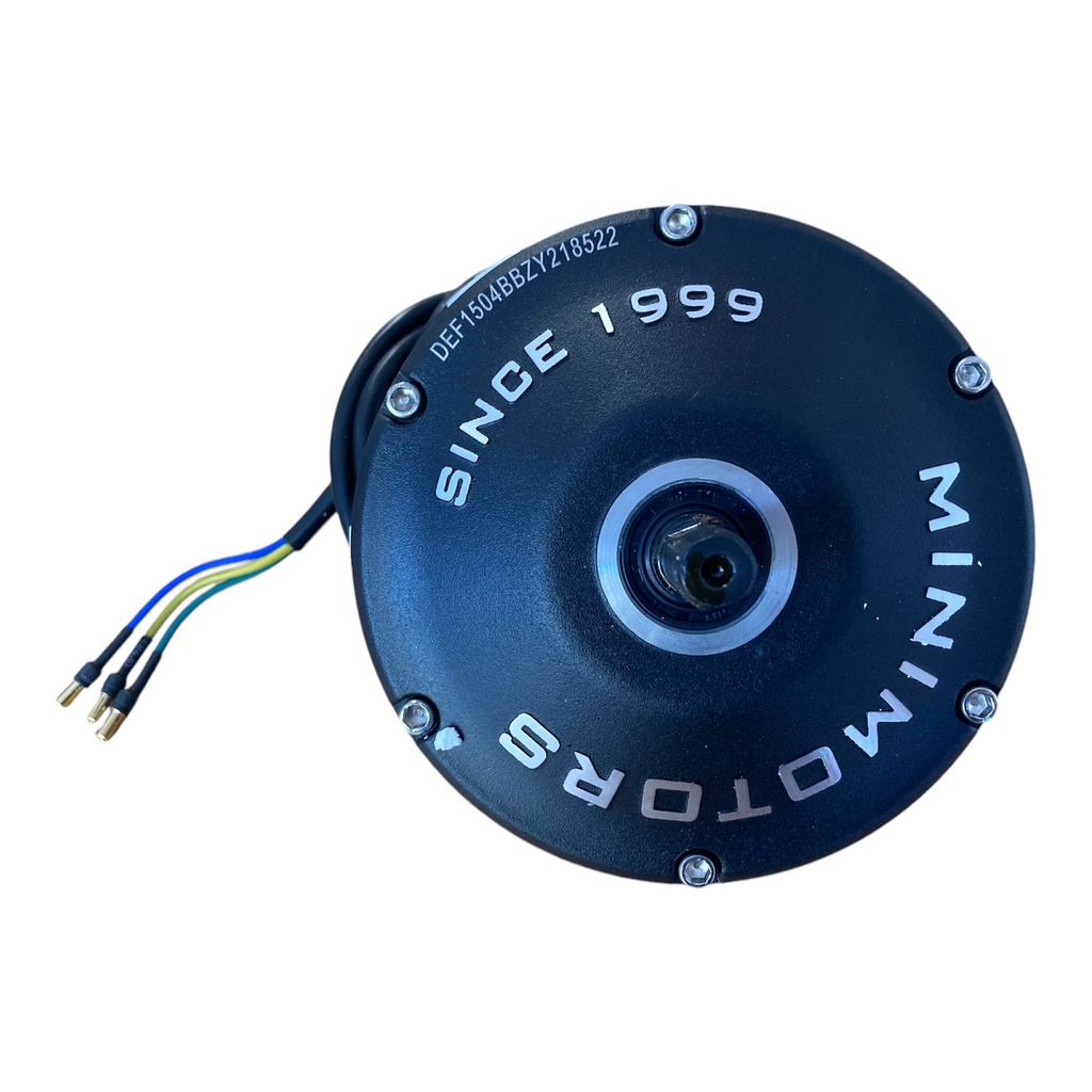 Motor Assembly 250W For Dualtron Eagle / Dualtron 3-Front