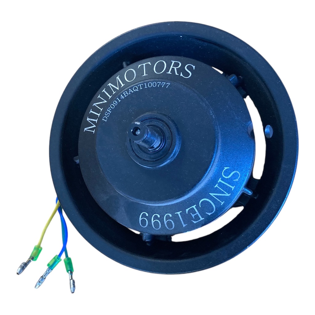 Front Motor (Motor delantero) Dualtron Spider