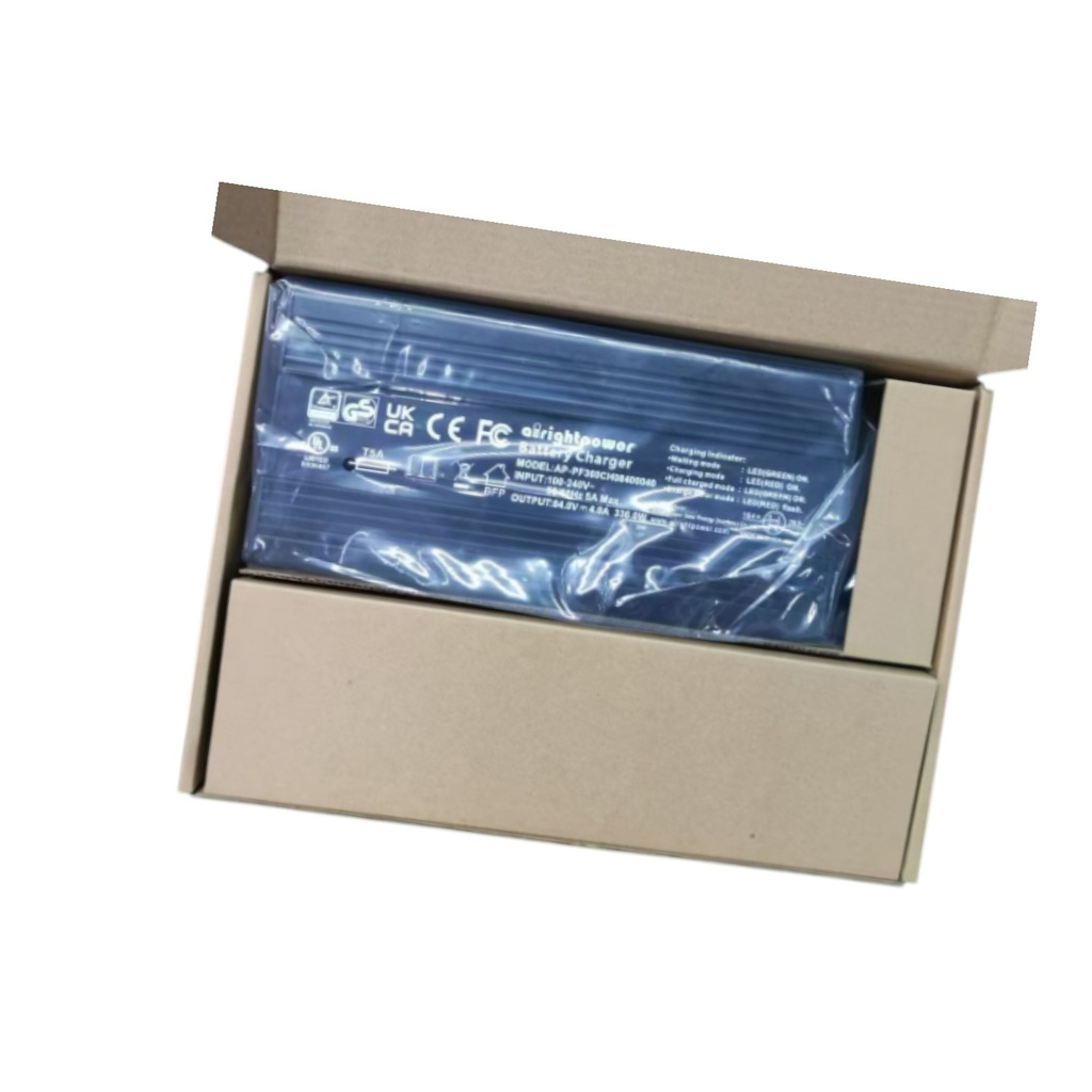 Charger (Cargador) Inmotion V9