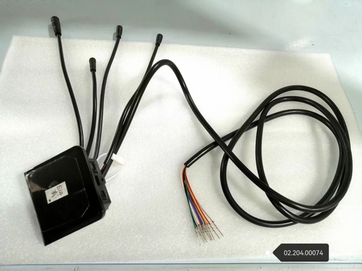 [mm-dt-togo-display-ey2-36v] Display New EY2 (with cruise control,36V y 48V）Dualtron TOGO