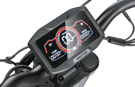 Display (pantalla) for Inmotion RS