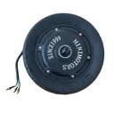 FFront motor with solid tire (Motor delantero con neumático solido)  DT Raptor 2
