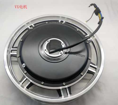 Motor (Solo motor) Inmotion V11Y