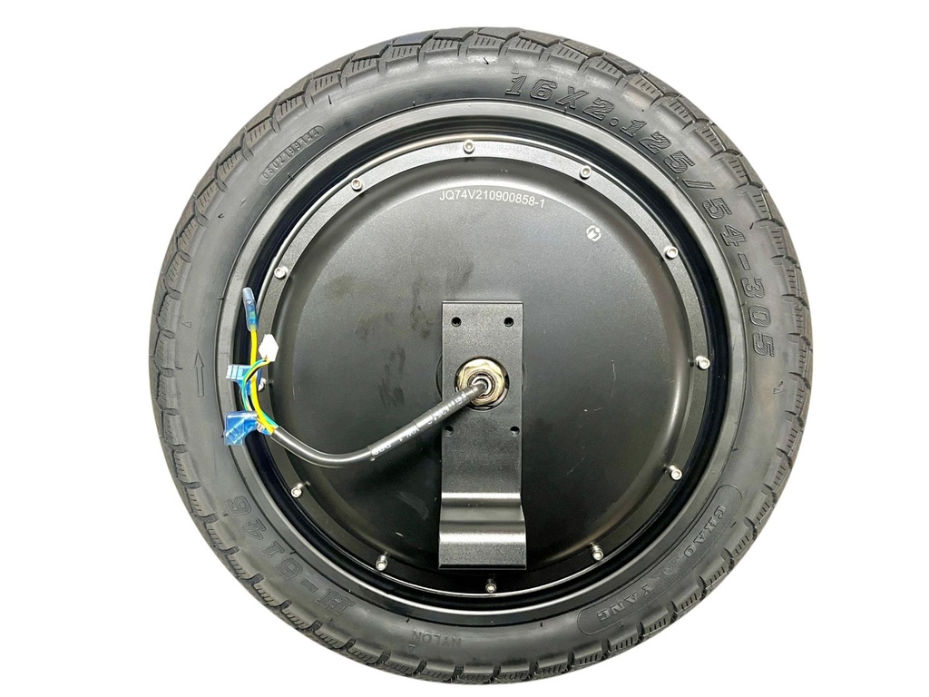 Motor Inmotion V8F Assembly