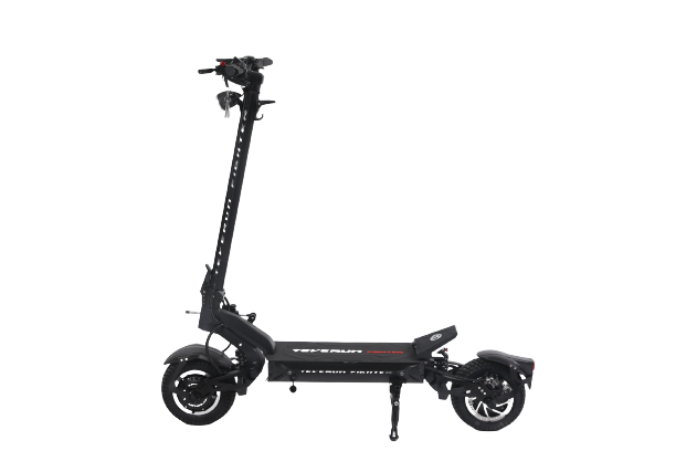 Teverun Fighter 10+ ( Fast charger incl.)