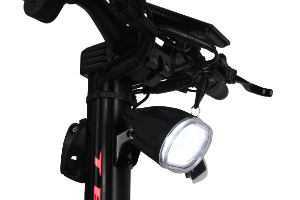 Teverun Fighter 10+ ( Fast charger incl.)