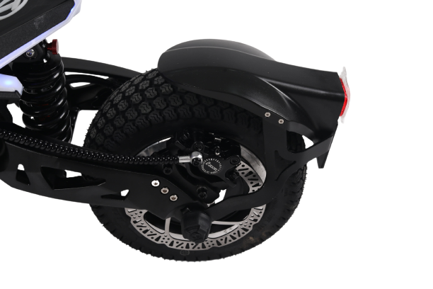 Teverun Fighter 10+ ( Fast charger incl.)