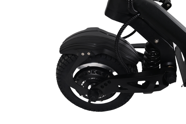 Teverun Fighter 10+ ( Fast charger incl.)