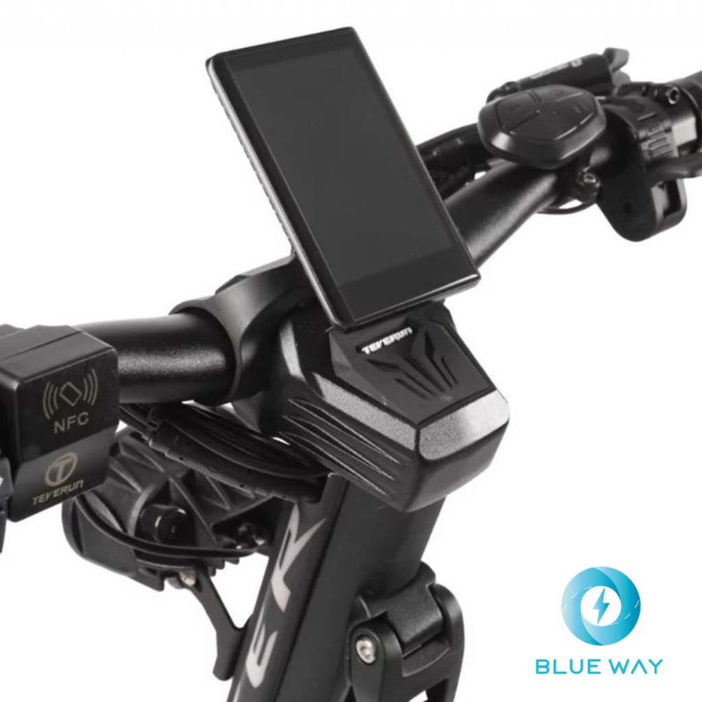 Teverun Fighter 11+ ( Fast charger incl.)