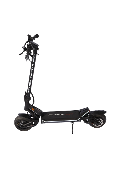 Teverun Fighter Mini ( Fast charger incl.)