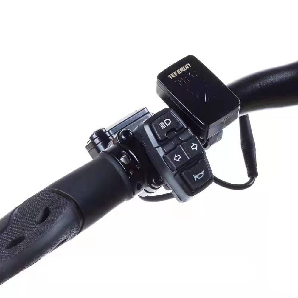 Teverun Fighter Mini ( Fast charger incl.)