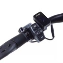 Teverun Fighter Mini ( Fast charger incl.)