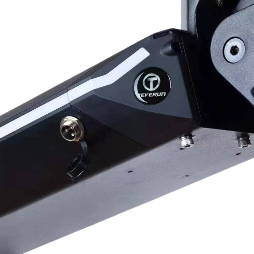 Teverun Fighter Mini ( Fast charger incl.)