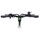 Teverun Fighter Mini ( Fast charger incl.)