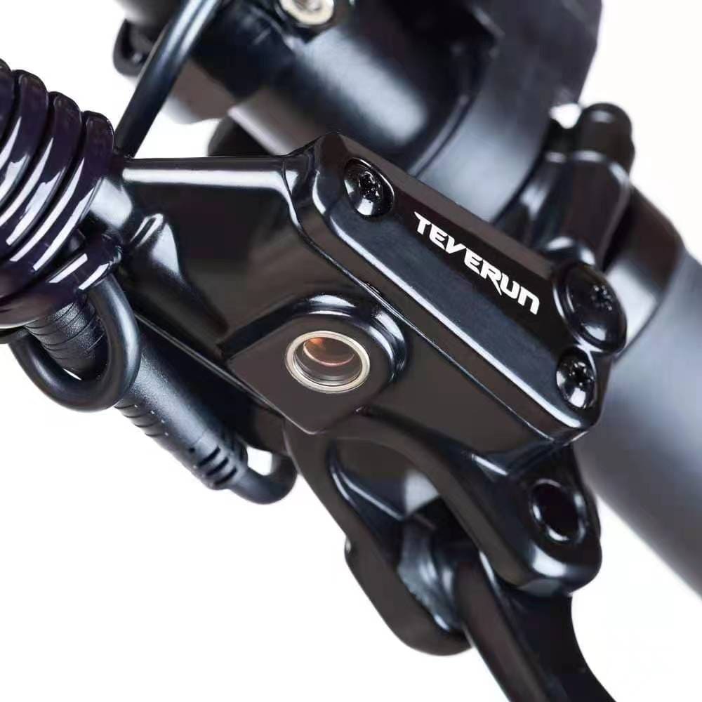 Teverun Fighter Mini ( Fast charger incl.)