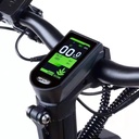 Teverun Fighter Mini ( Fast charger incl.)