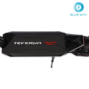 Teverun Fighter Mini ( Fast charger incl.)