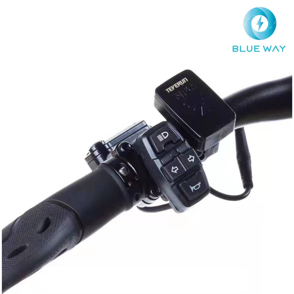 Teverun Fighter Mini ( Fast charger incl.)