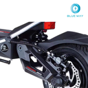 Teverun Fighter Mini ( Fast charger incl.)