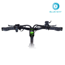 Teverun Fighter Mini ( Fast charger incl.)