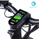 Teverun Fighter Mini ( Fast charger incl.)