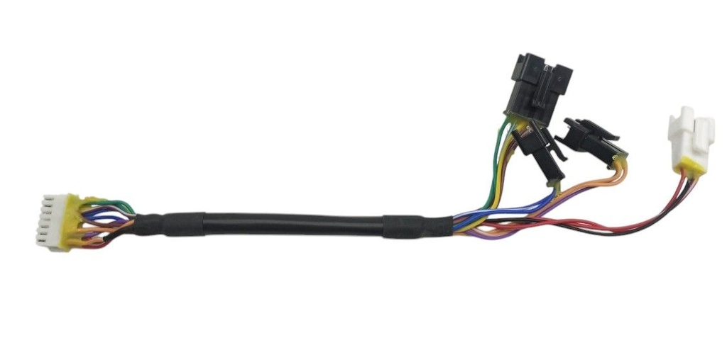 Cable Ensamblado de Display Inmotion L9/S1(F)