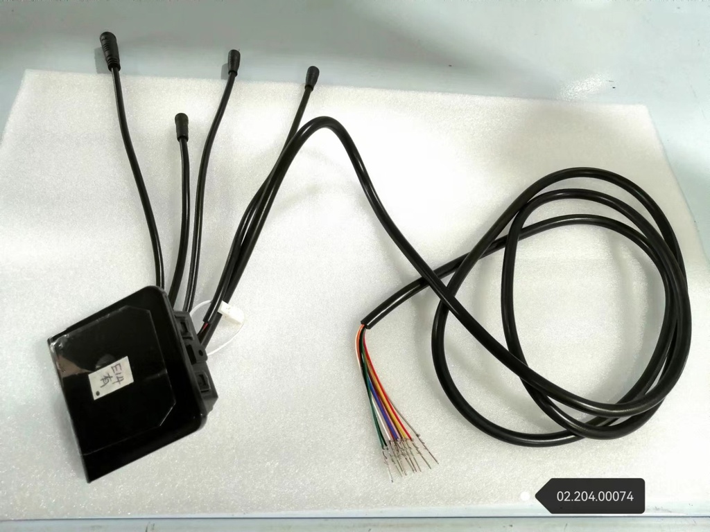 Display New EY2 (with cruise control) Dualtron Togo