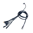 main cable for dual version (cable principal para versión dual) Blade Mini Ultra