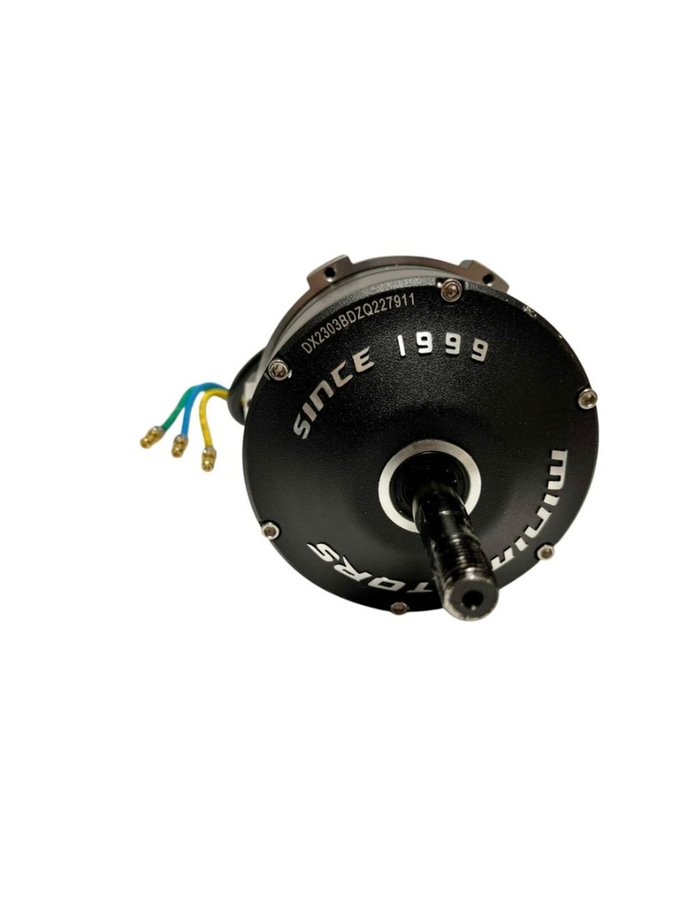 Motor (Motor) Dualtron X 60V