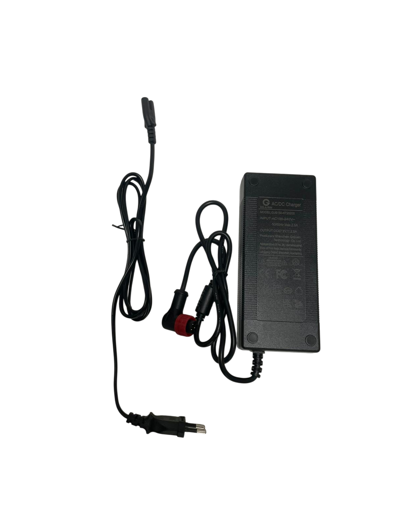 new Charger (Nuevo cargador) 60V Vsett 10