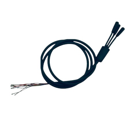 [cable-principal-kb-mts-10-3-cores] Cable principal (3 conectores y 10 pines) Kaabo Mantis 10